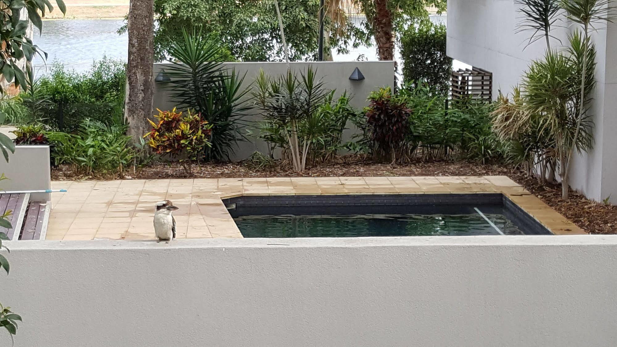 Jacana Apartments Townsville Esterno foto